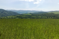 Čierna-hora-008