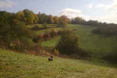 Ťapka-017